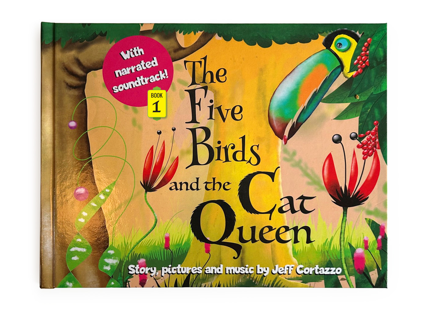 The Five Birds andn the Cat Queen children's book by Jeff Cortazo